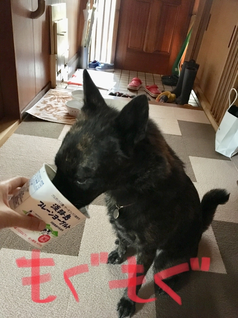 f:id:drunkard_kim:20180708132456j:plain