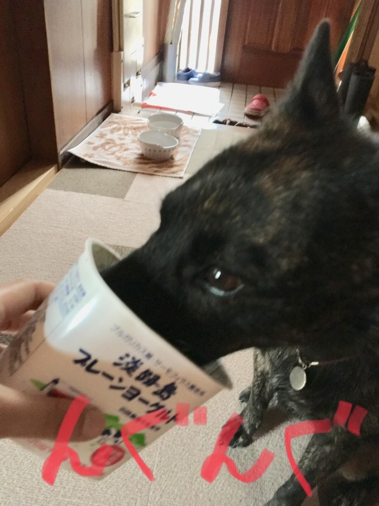 f:id:drunkard_kim:20180708132523j:plain