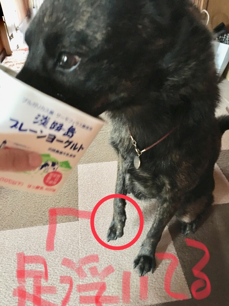 f:id:drunkard_kim:20180708132554j:plain