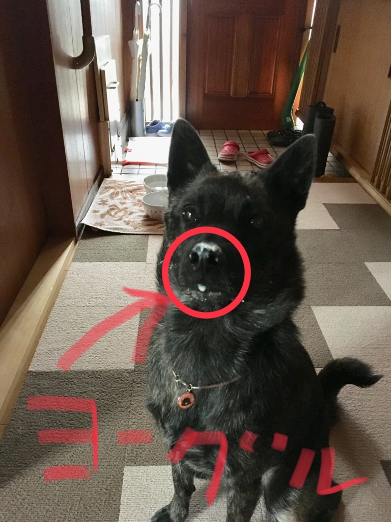 f:id:drunkard_kim:20180708132643j:plain