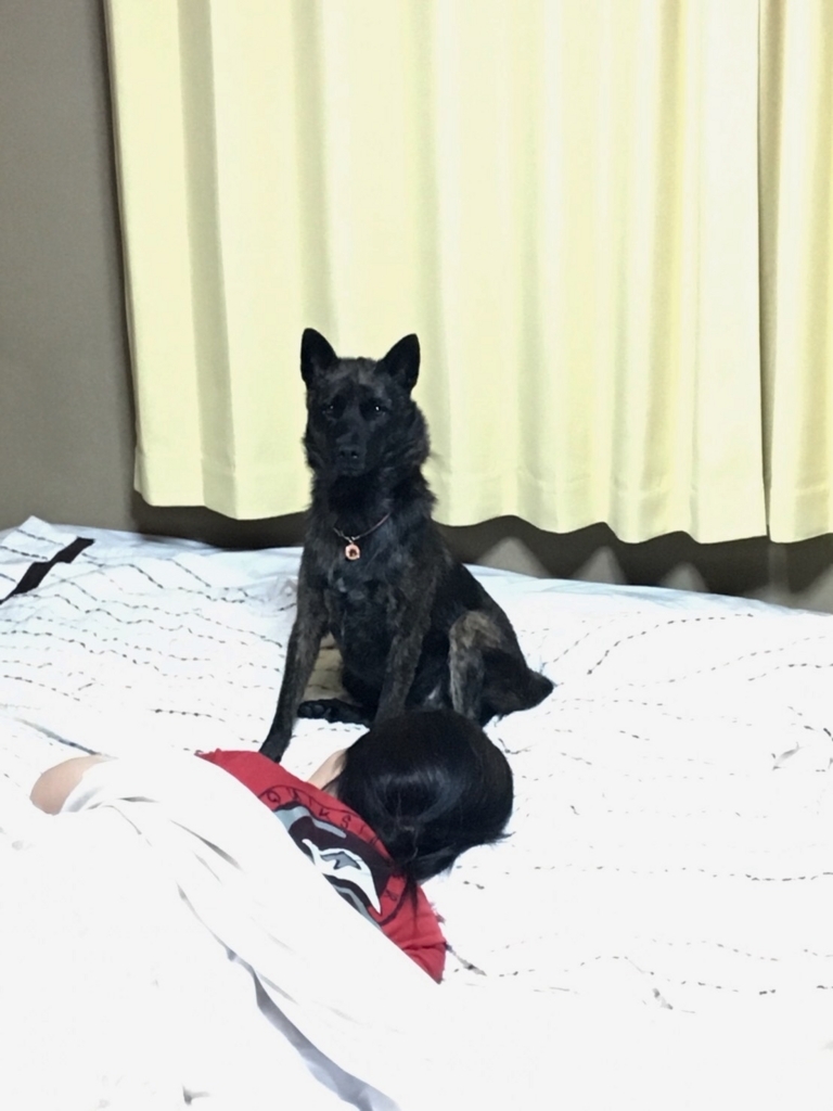 f:id:drunkard_kim:20180710090248j:plain