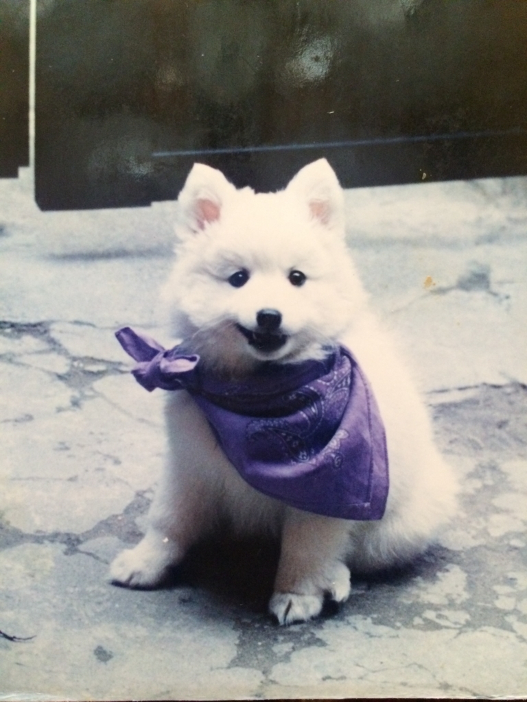 f:id:drunkard_kim:20180713081317j:plain