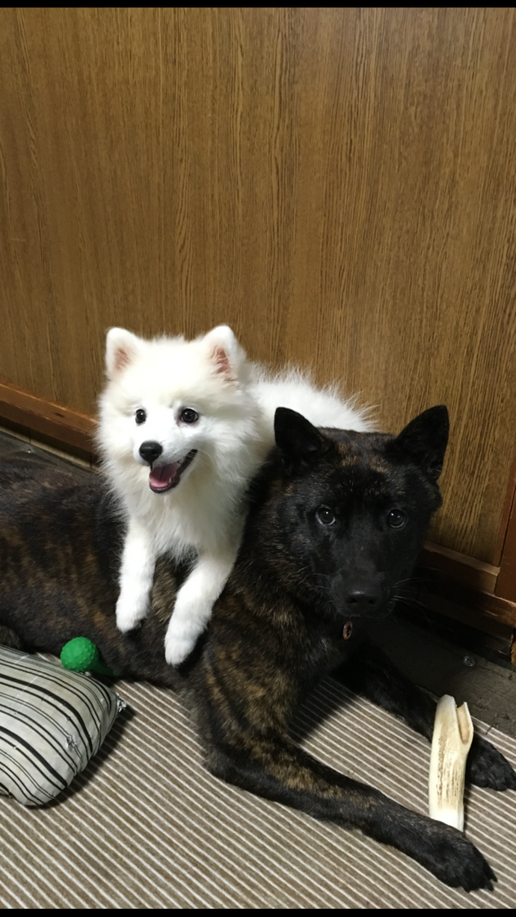 f:id:drunkard_kim:20180713081817p:plain