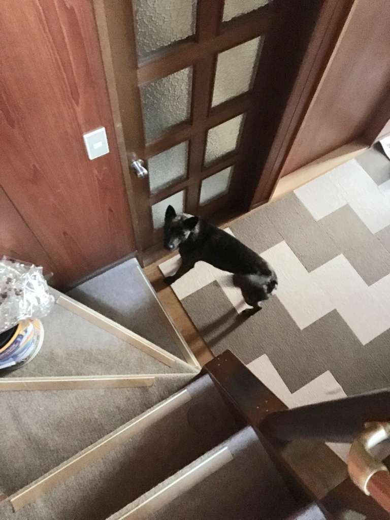f:id:drunkard_kim:20180715082420j:plain