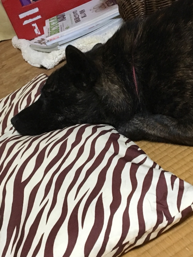 f:id:drunkard_kim:20180720080625j:plain