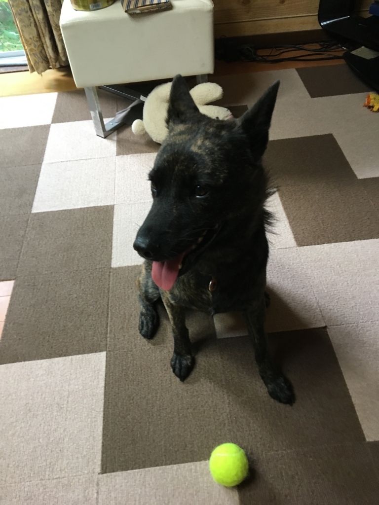 f:id:drunkard_kim:20180723080714j:plain