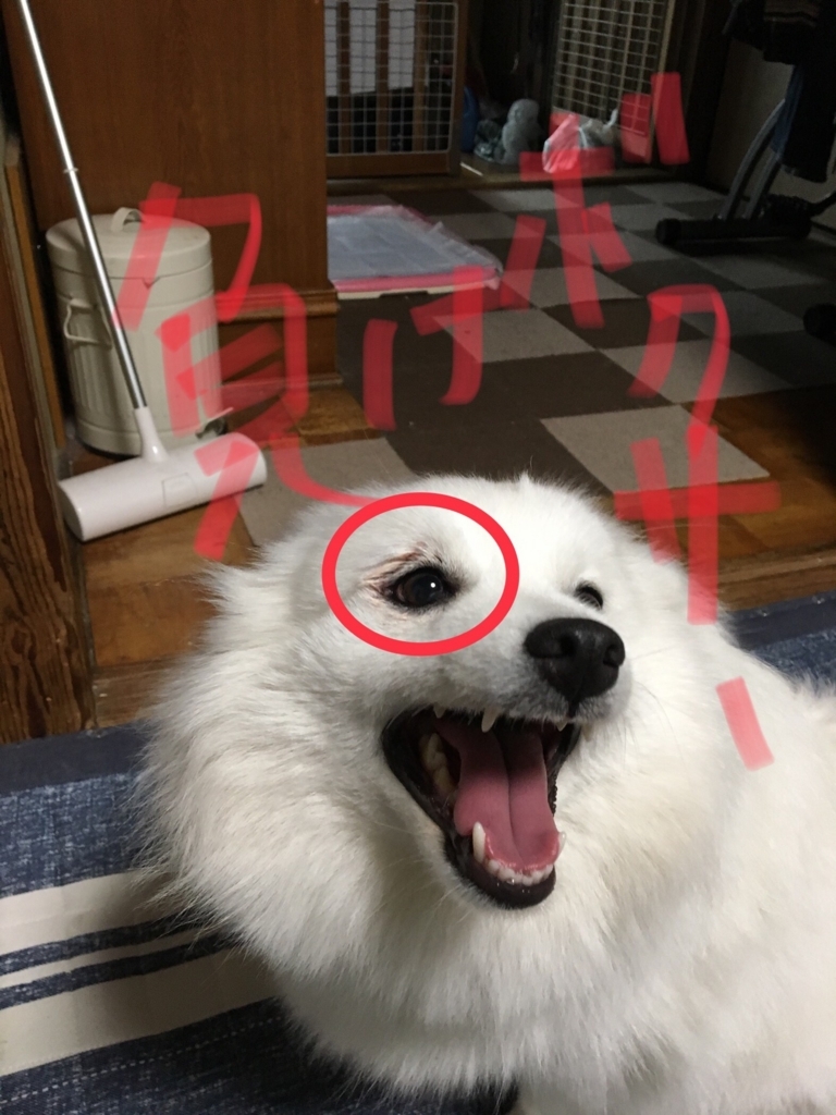 f:id:drunkard_kim:20180724132421j:plain