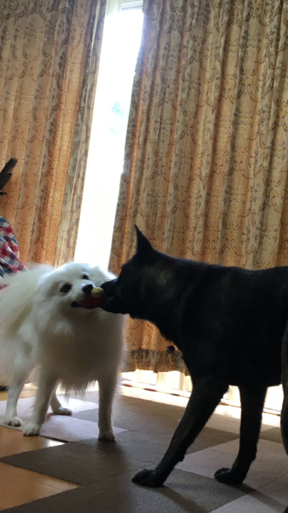 f:id:drunkard_kim:20180724132524p:plain