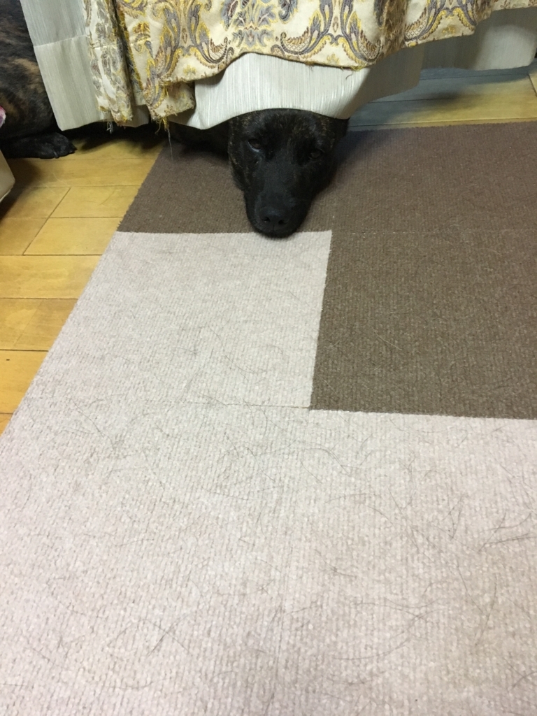 f:id:drunkard_kim:20180725080711j:plain