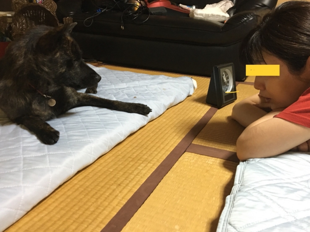 f:id:drunkard_kim:20180726081234j:plain