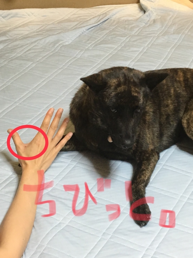 f:id:drunkard_kim:20180731121026j:plain