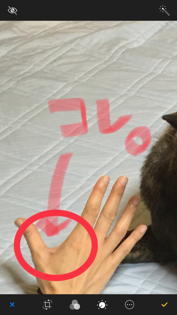 f:id:drunkard_kim:20180731121042j:plain