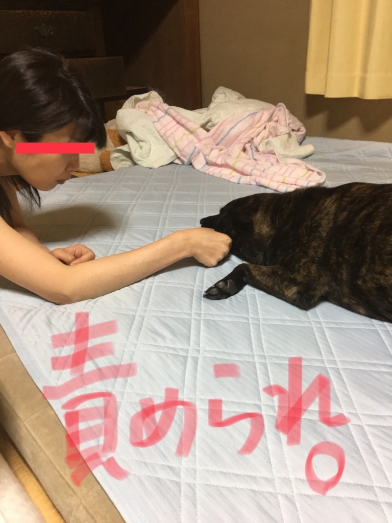 f:id:drunkard_kim:20180731121135j:plain