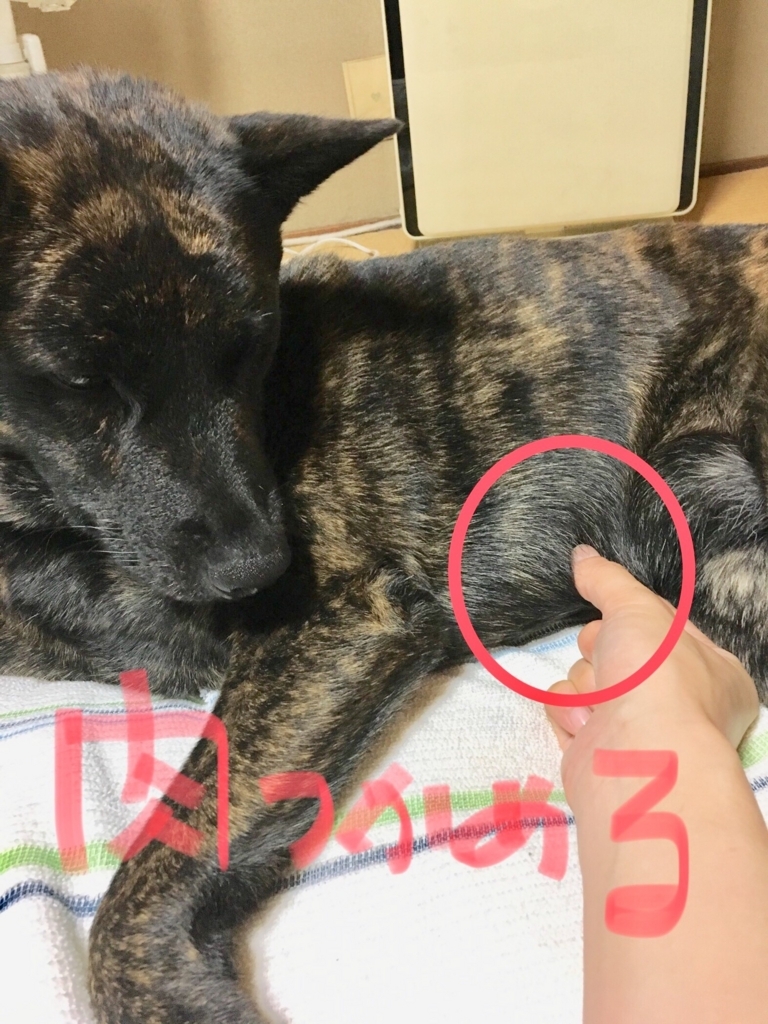 f:id:drunkard_kim:20180802075752j:plain