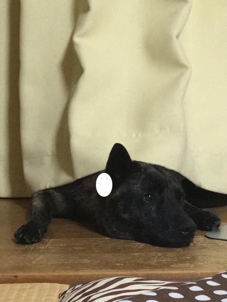 f:id:drunkard_kim:20180802080750j:plain