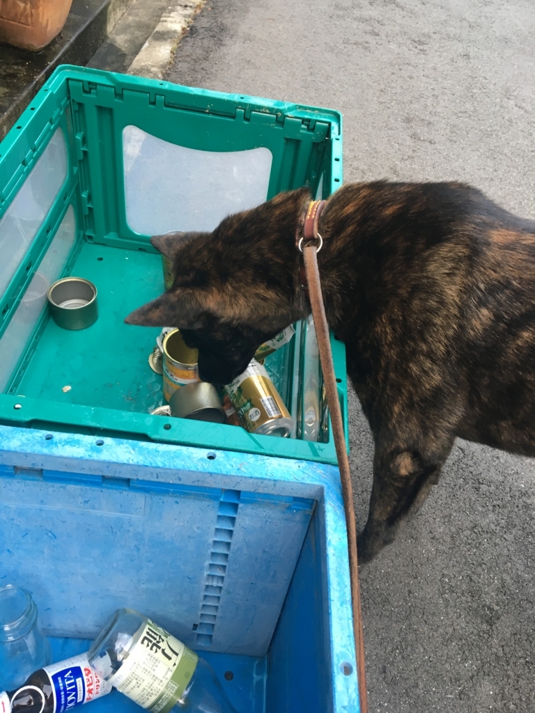 f:id:drunkard_kim:20180803094309j:plain