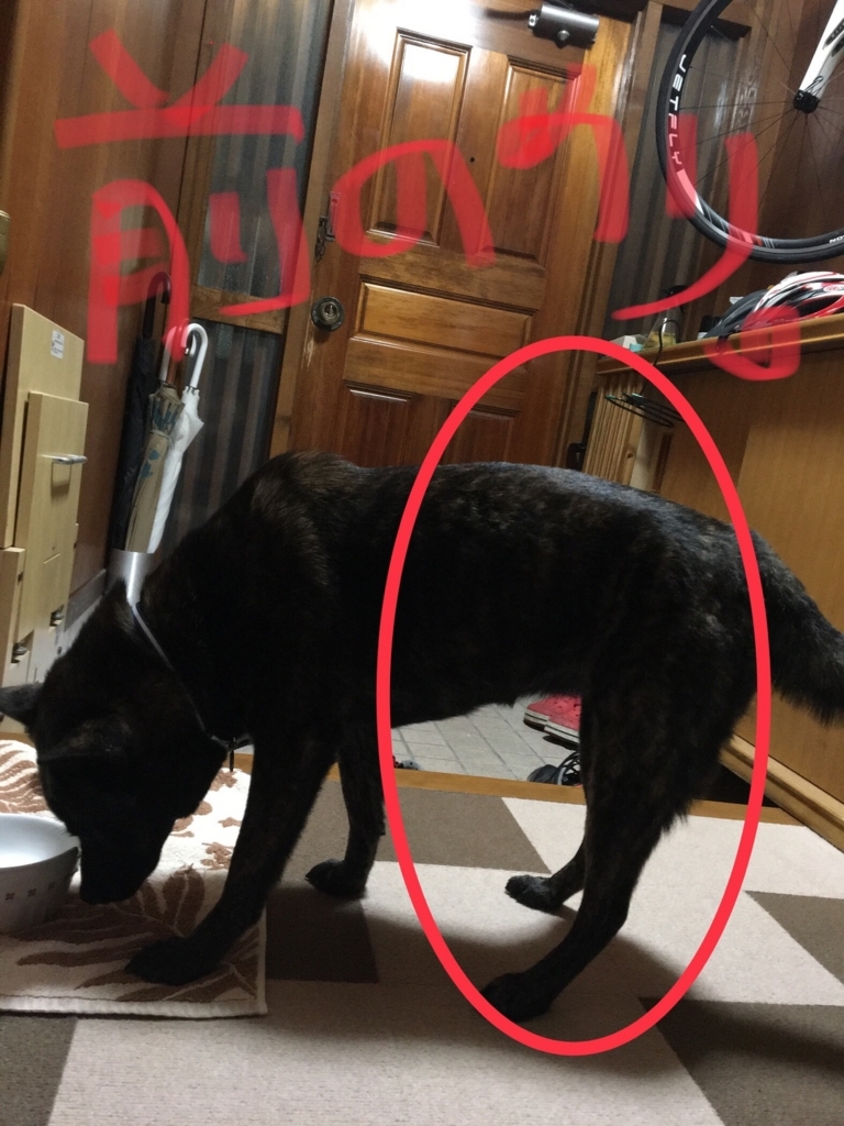 f:id:drunkard_kim:20180815081355j:plain