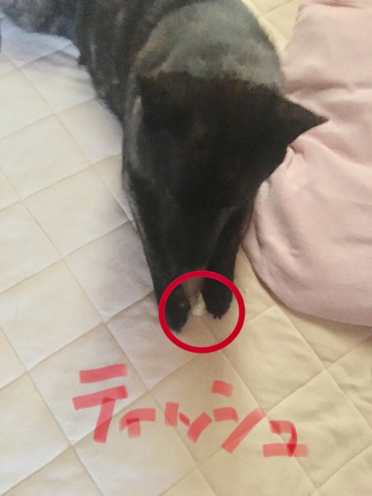 f:id:drunkard_kim:20180820081526j:plain