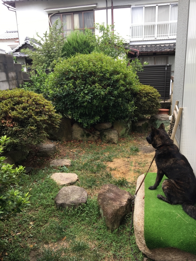 f:id:drunkard_kim:20180824075755j:plain