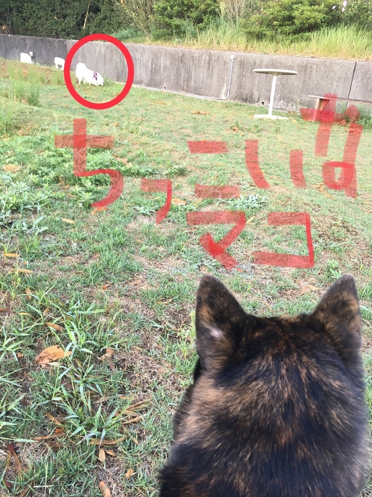 f:id:drunkard_kim:20180903195930j:plain