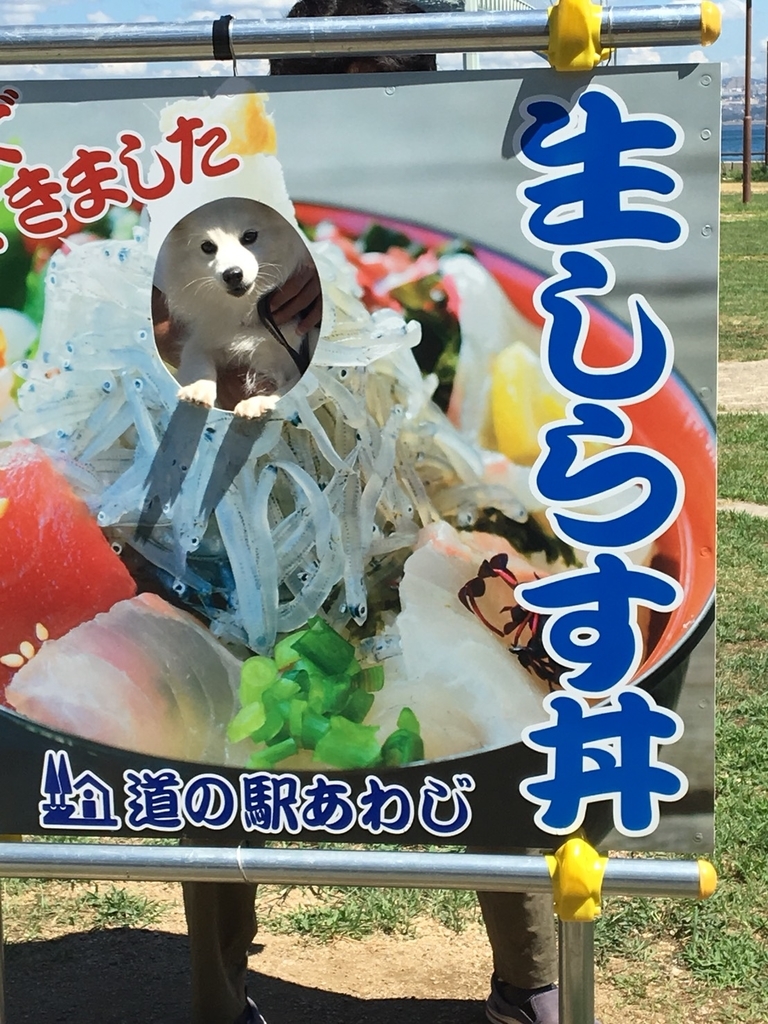 f:id:drunkard_kim:20180903202006j:plain