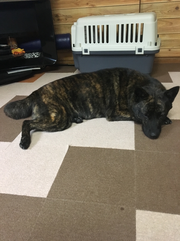 f:id:drunkard_kim:20180908080110j:plain f:id:drunkard_kim:20180908080110j:plain