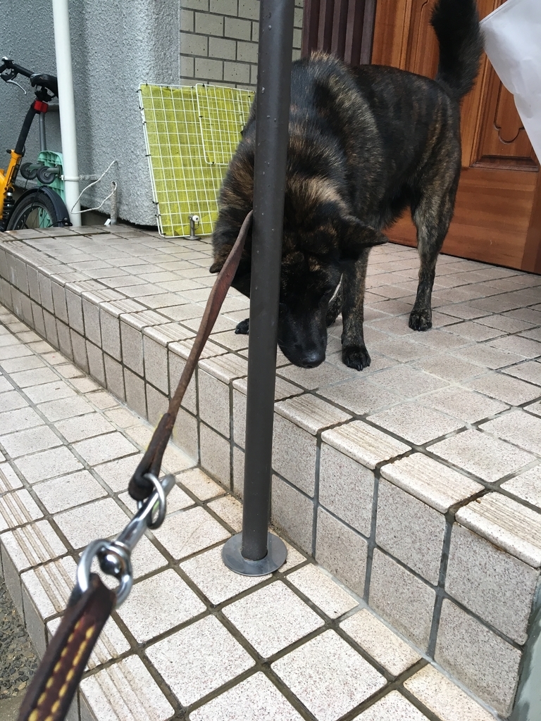 f:id:drunkard_kim:20180908080153j:plain f:id:drunkard_kim:20180908080153j:plain