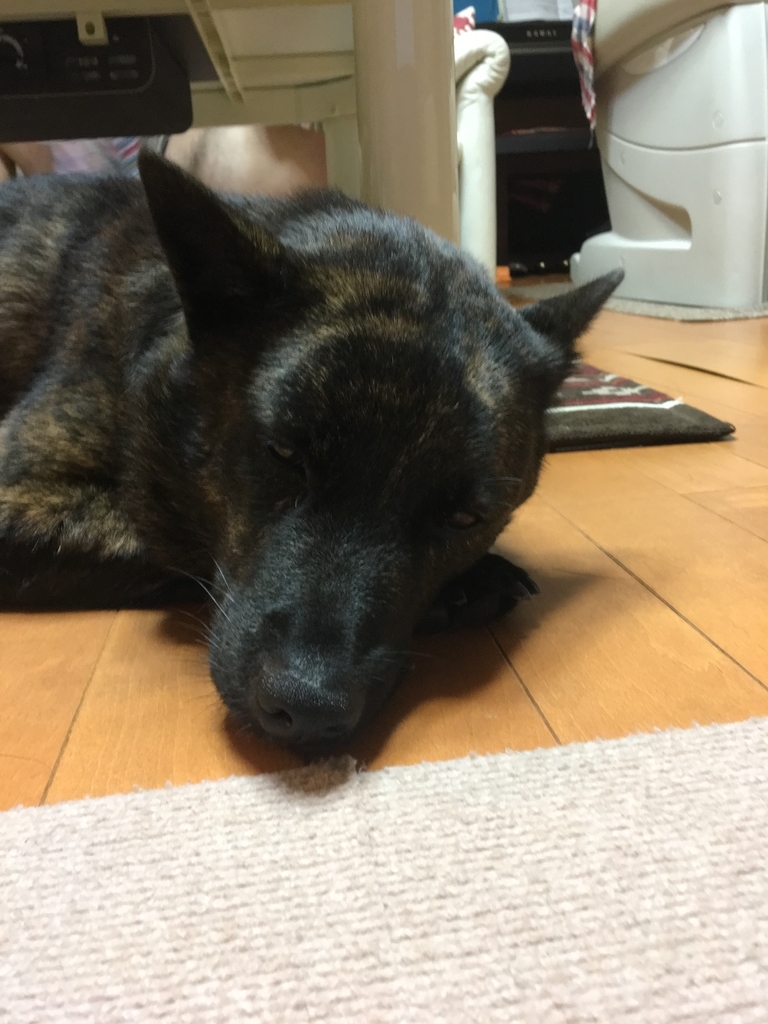 f:id:drunkard_kim:20180909211325j:plain