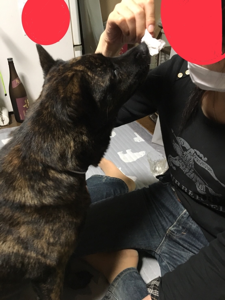 f:id:drunkard_kim:20180911081949j:plain