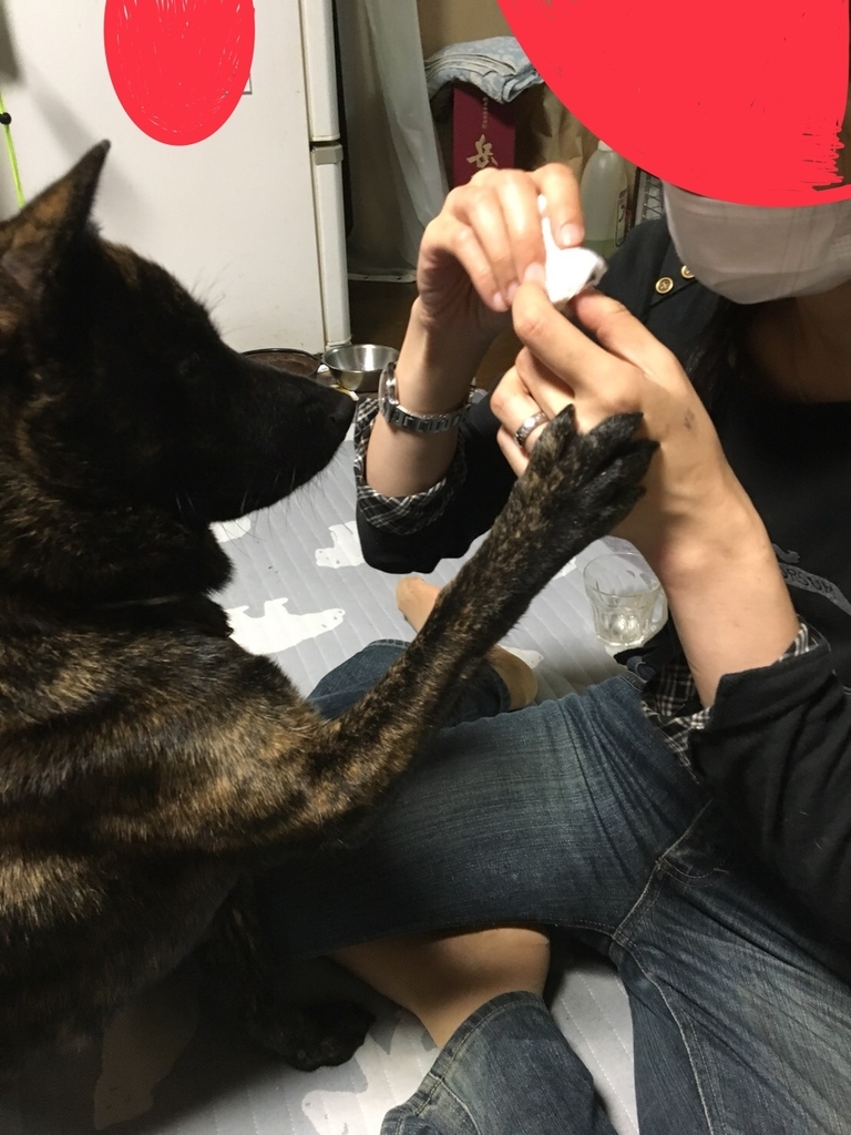 f:id:drunkard_kim:20180911082908j:plain