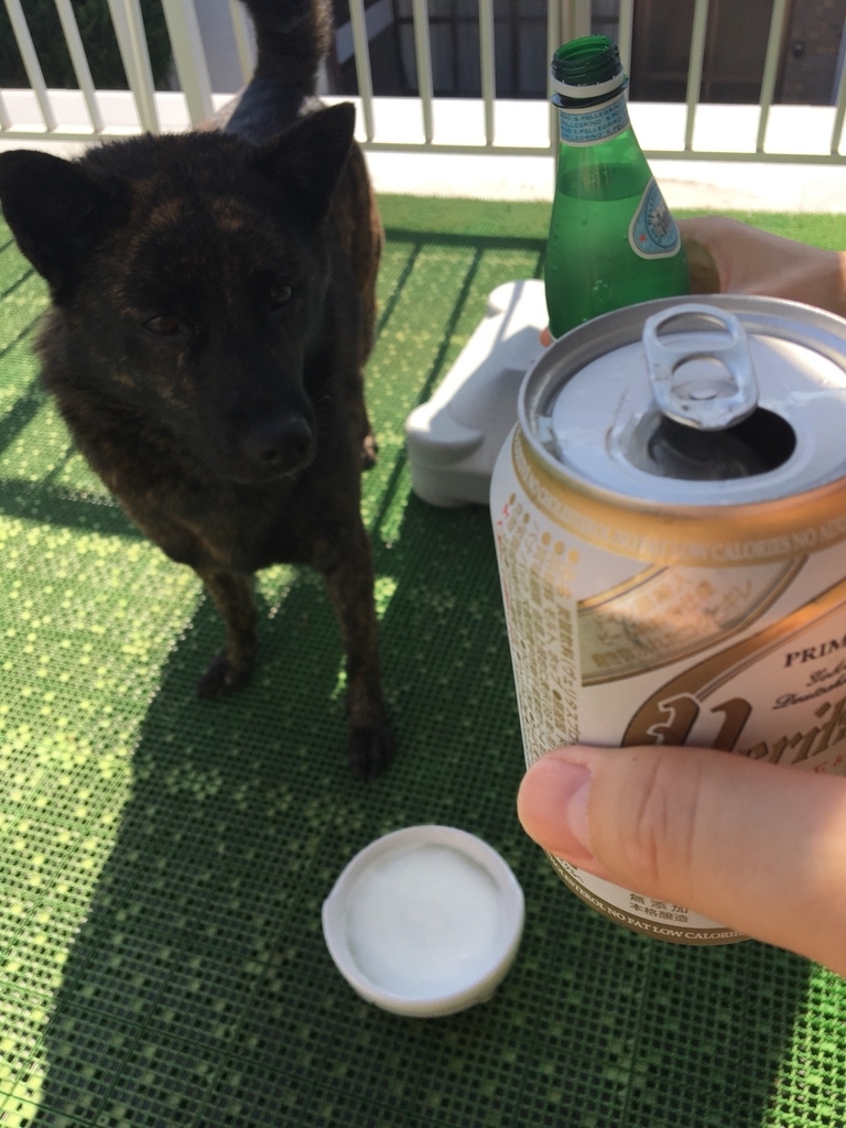 f:id:drunkard_kim:20180917080917j:plain