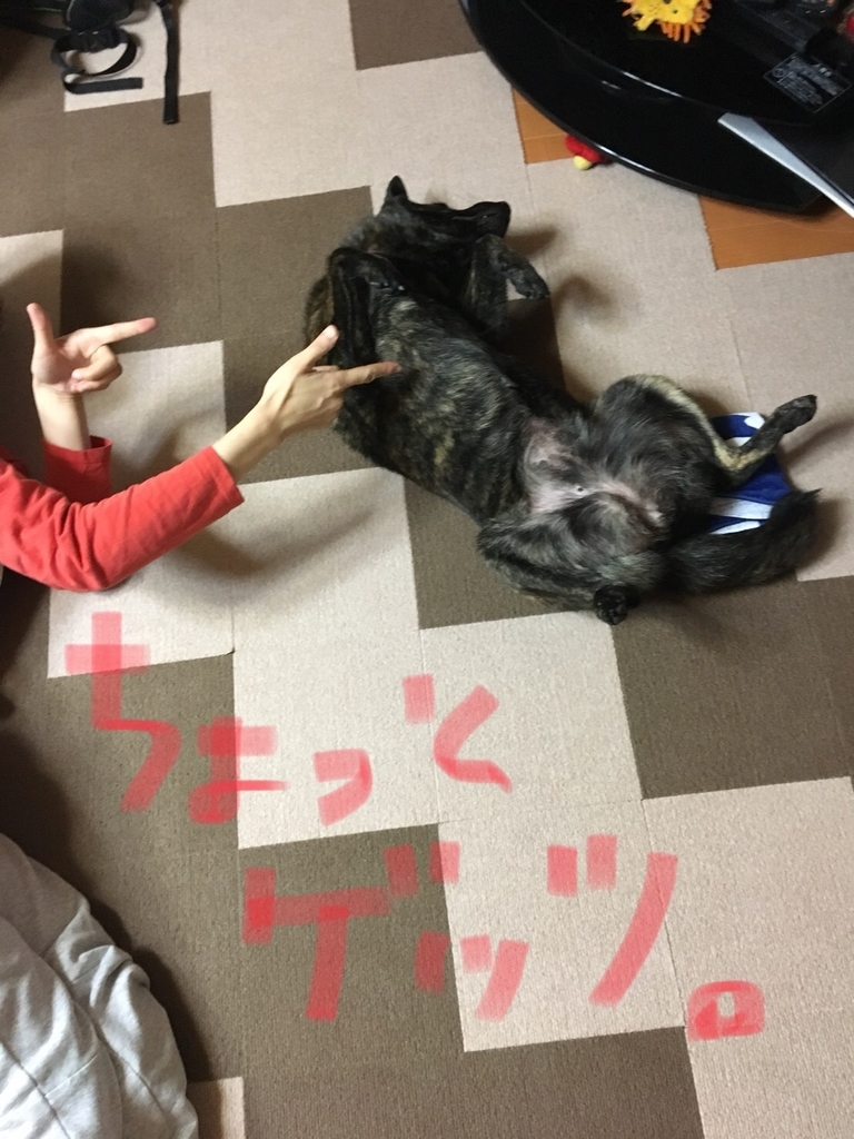 f:id:drunkard_kim:20180921111841j:plain