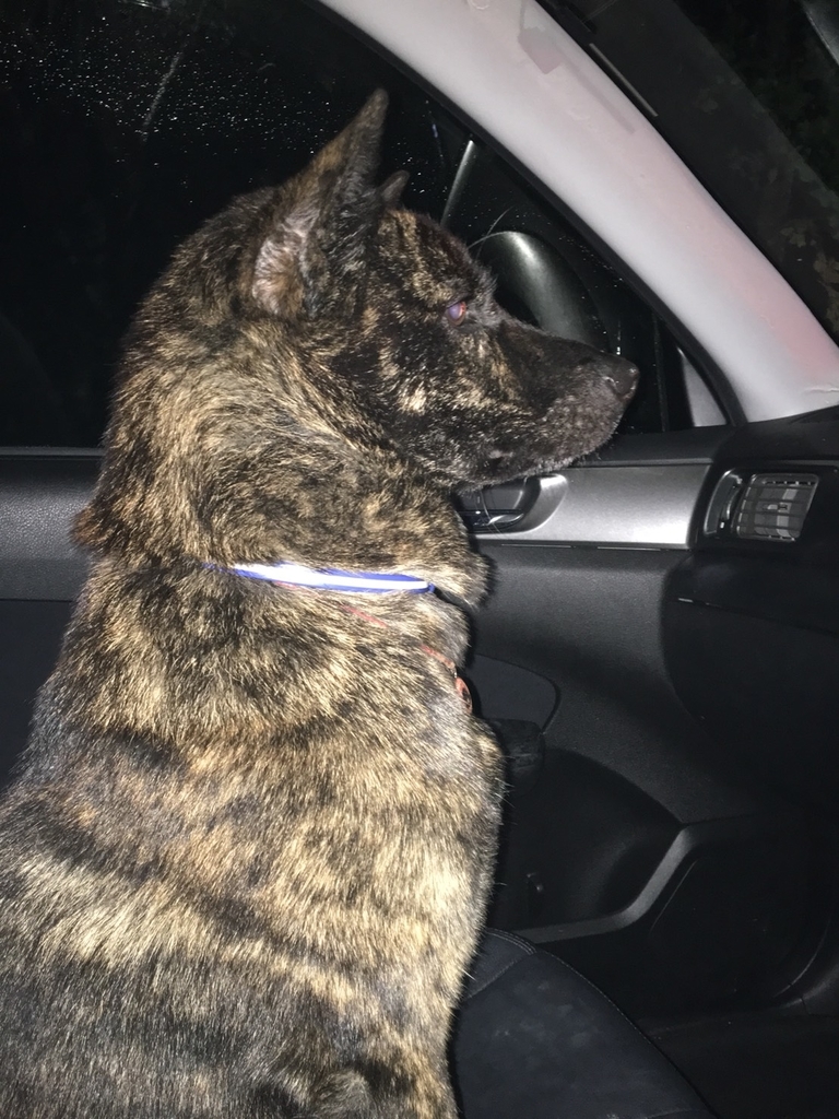 f:id:drunkard_kim:20181002143302j:plain