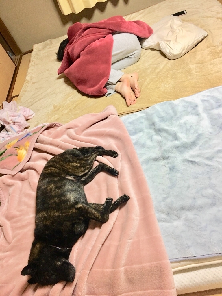 f:id:drunkard_kim:20181004080610j:plain