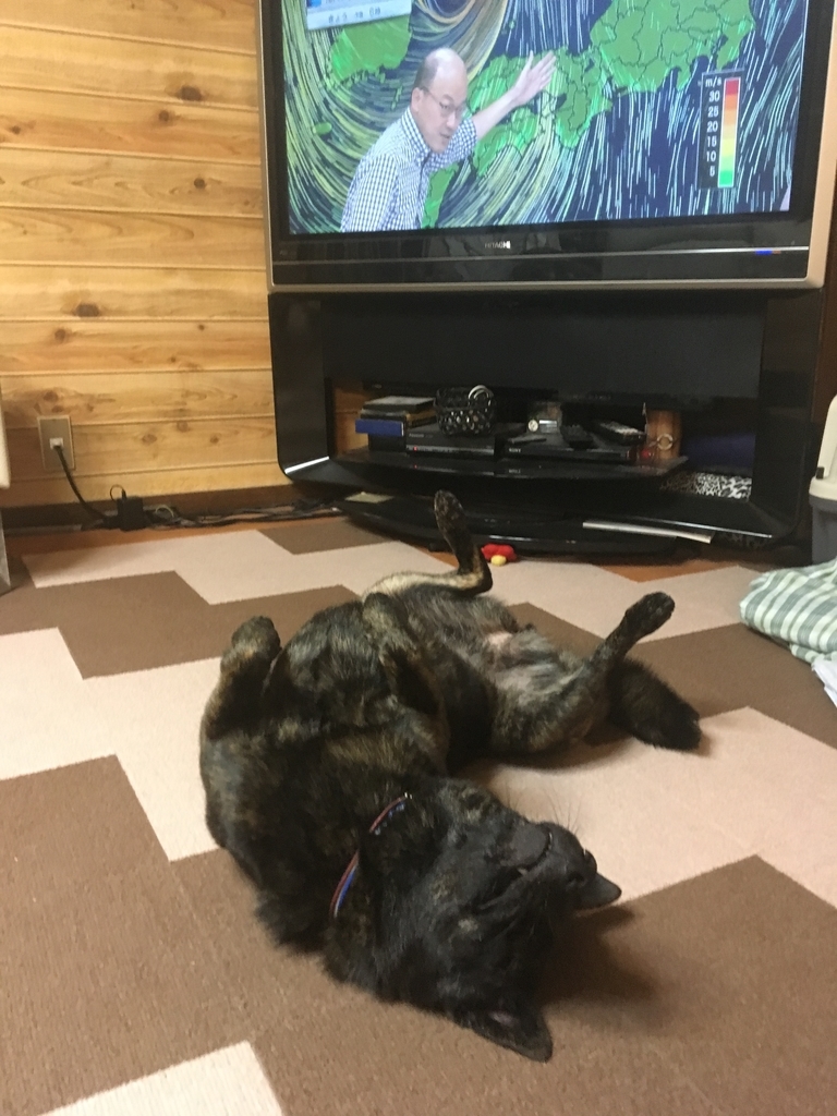 f:id:drunkard_kim:20181006081138j:plain