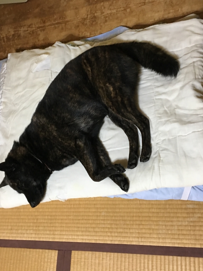 f:id:drunkard_kim:20181009090941j:plain