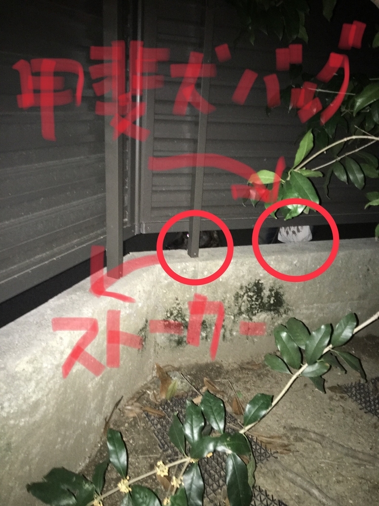 f:id:drunkard_kim:20181010080556j:plain f:id:drunkard_kim:20181010080556j:plain