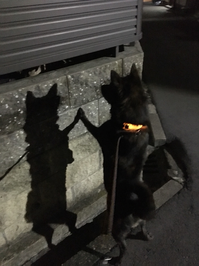 f:id:drunkard_kim:20181010212615j:plain f:id:drunkard_kim:20181010212615j:plain