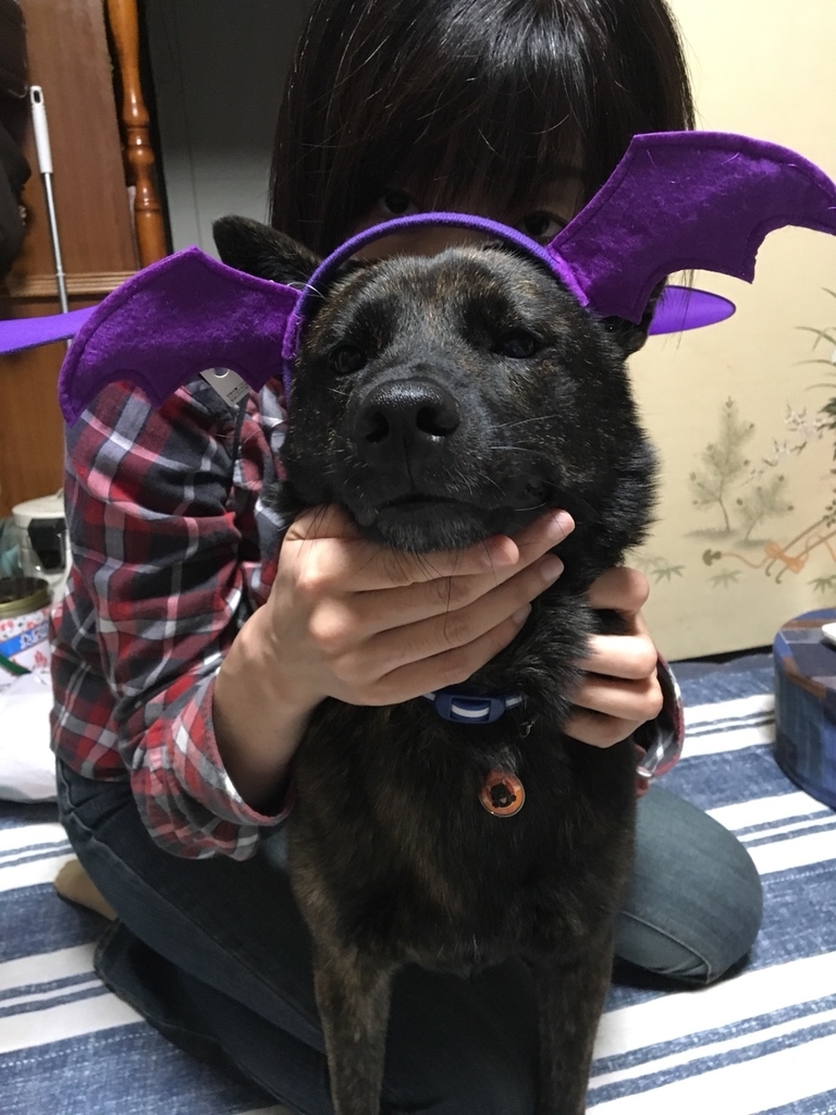 f:id:drunkard_kim:20181011080743j:plain