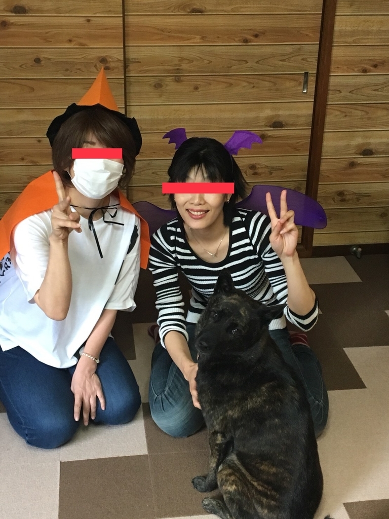 f:id:drunkard_kim:20181014205344j:plain