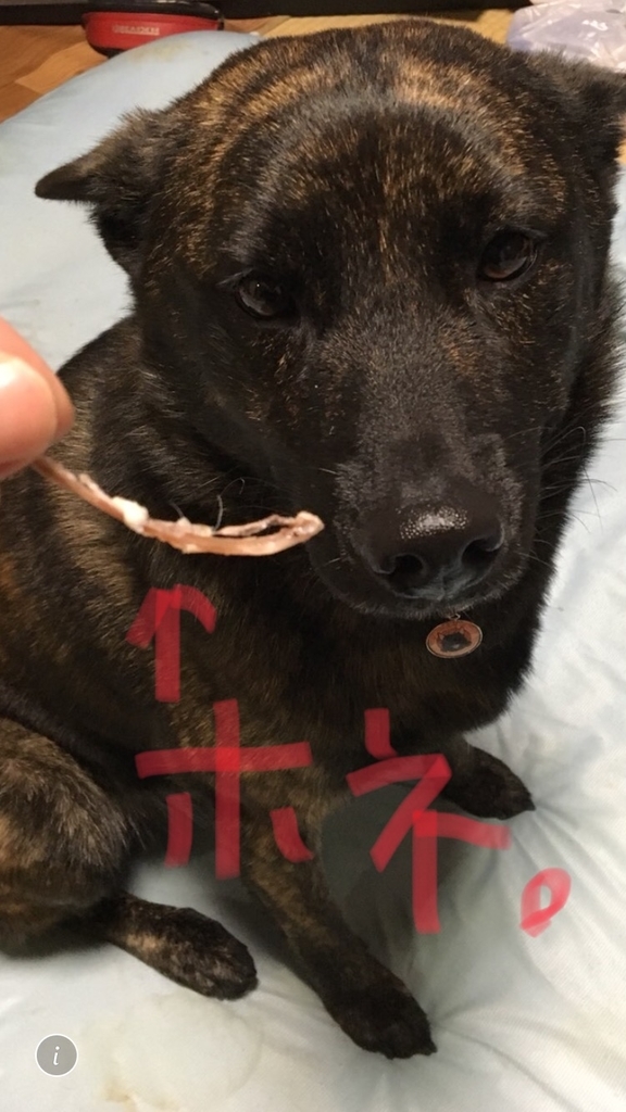 f:id:drunkard_kim:20181015180945j:plain