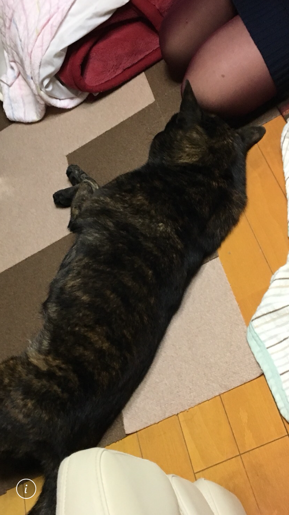 f:id:drunkard_kim:20181015181016p:plain
