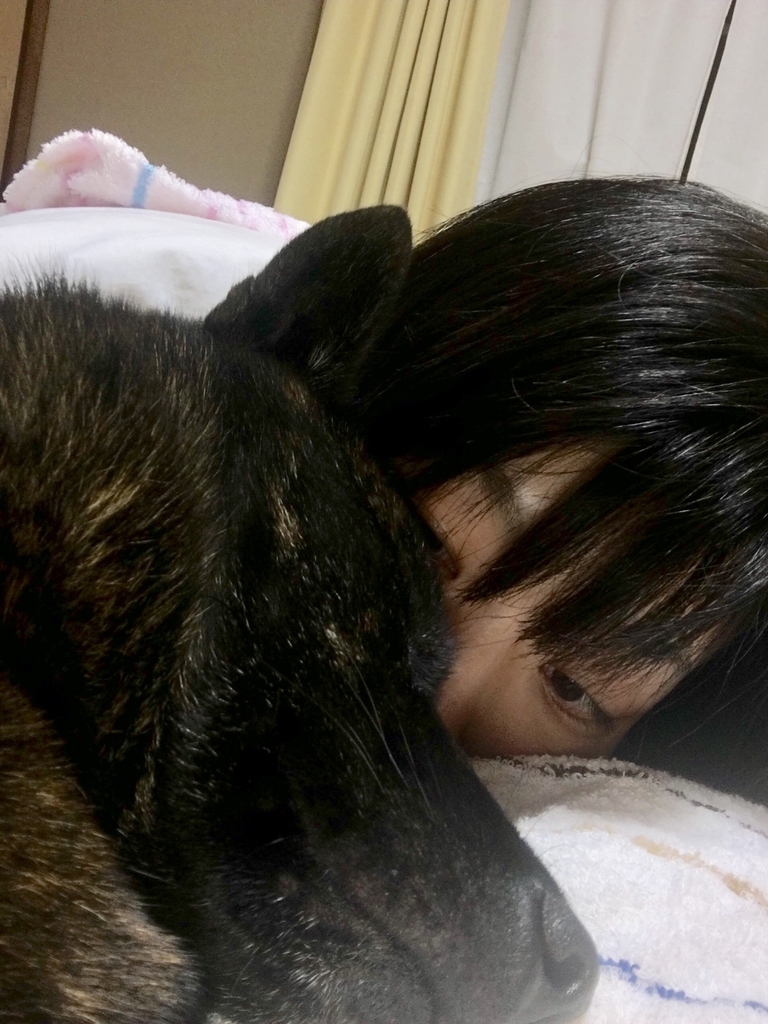 f:id:drunkard_kim:20181017075009j:plain f:id:drunkard_kim:20181017075009j:plain