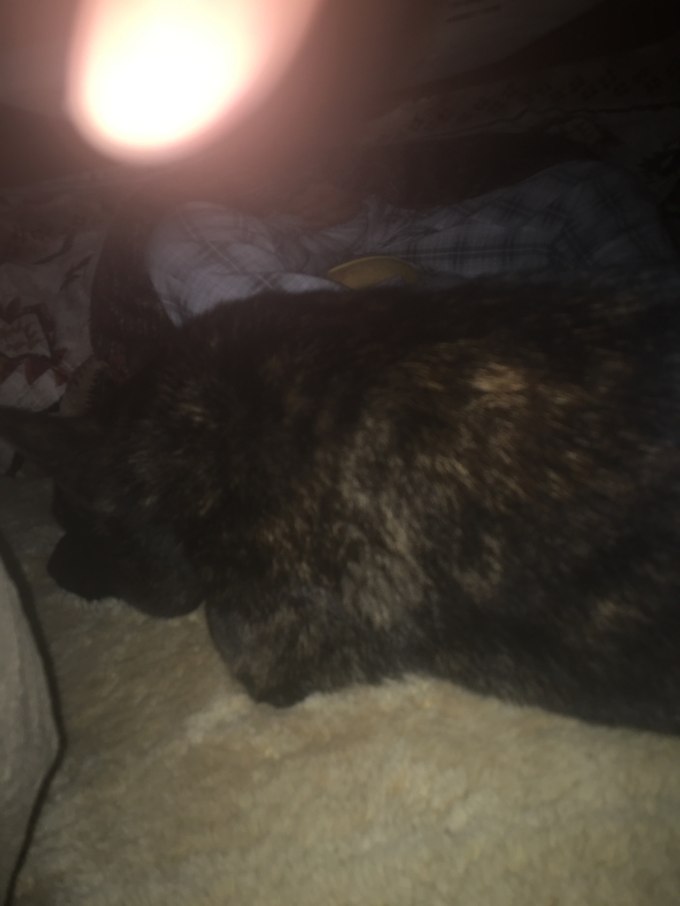 f:id:drunkard_kim:20181022080434j:plain