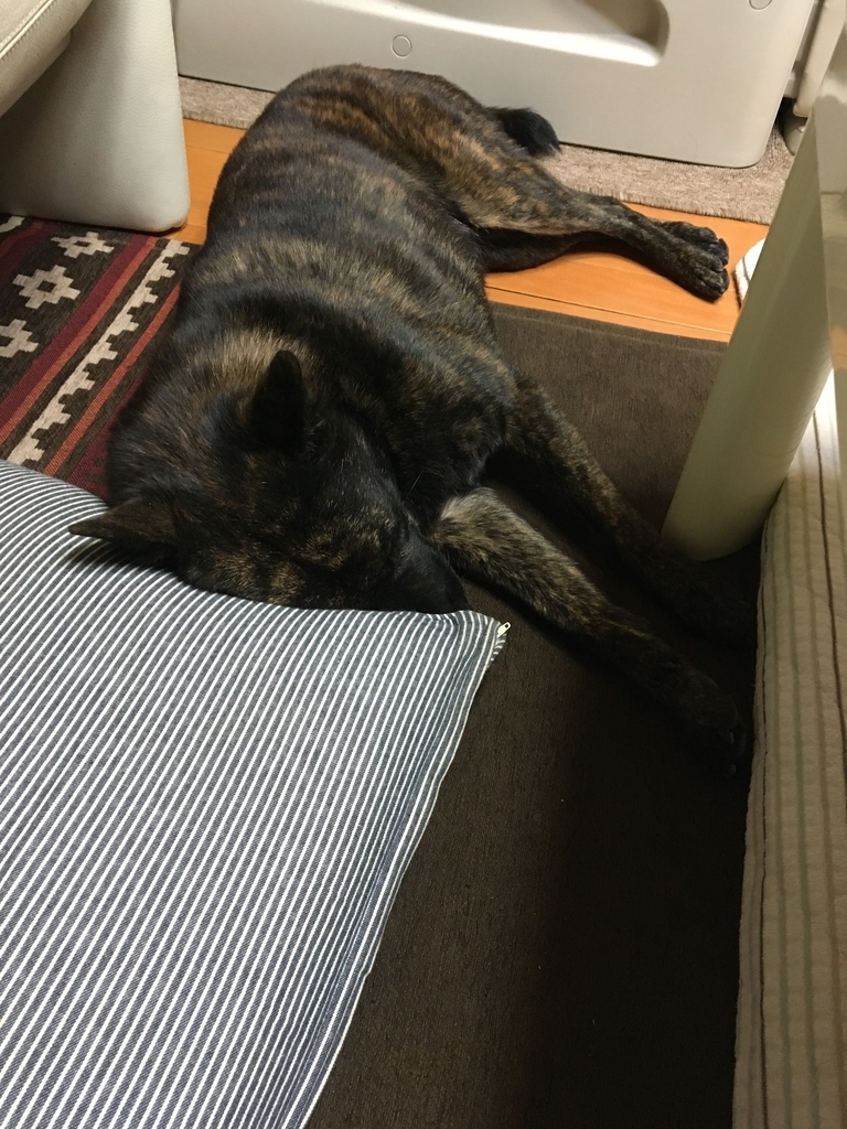 f:id:drunkard_kim:20181023203413j:plain