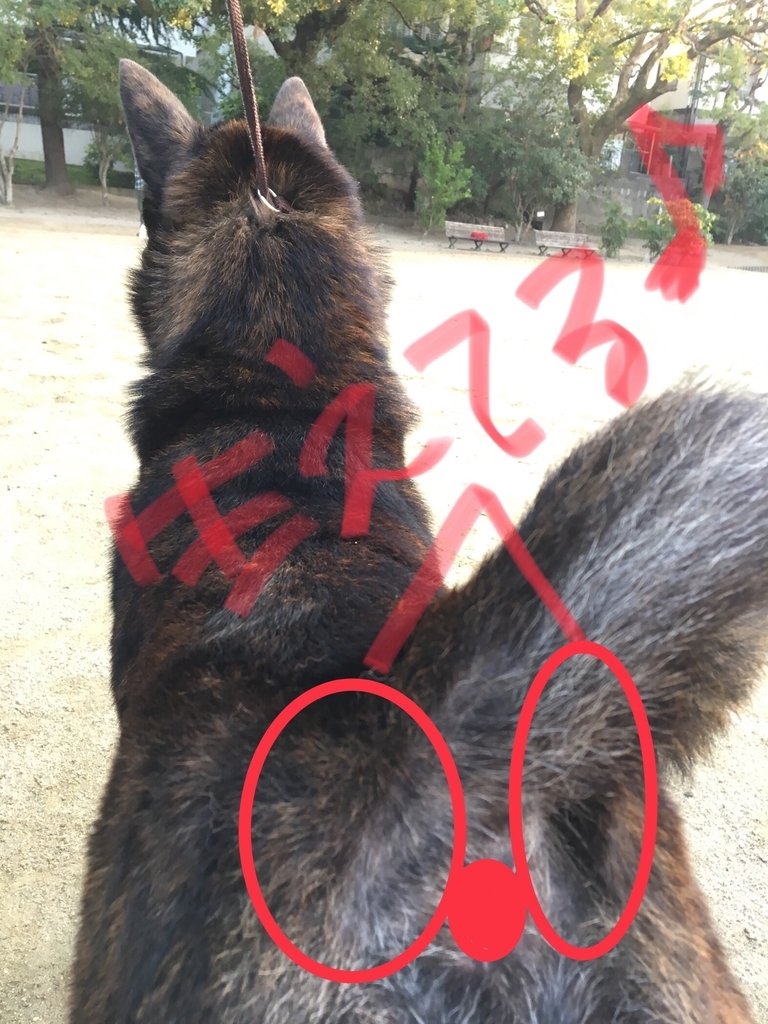 f:id:drunkard_kim:20181025082321j:plain