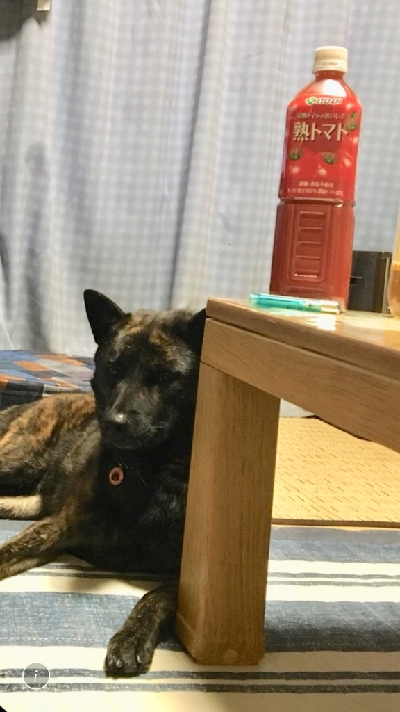 f:id:drunkard_kim:20181027082343j:plain