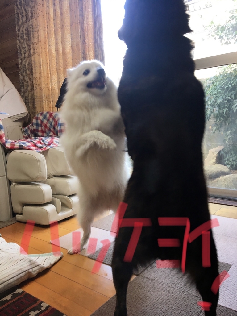 f:id:drunkard_kim:20181030122957j:plain