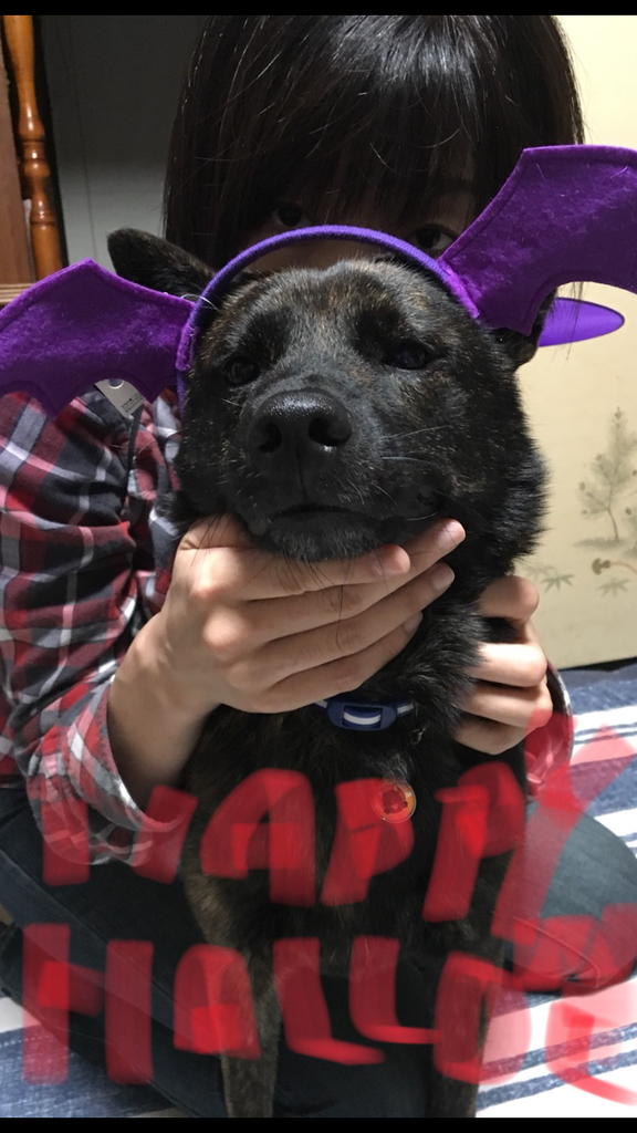 f:id:drunkard_kim:20181031075025j:plain