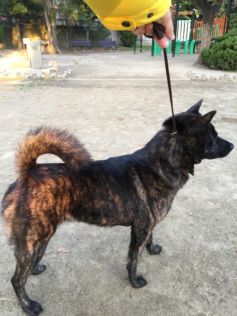 f:id:drunkard_kim:20181101090459j:plain